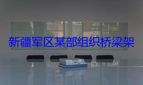 新疆军区某部组织桥梁架设训练图