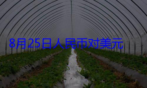 人民币对美点160个基8月25日元中间价报1元 上调